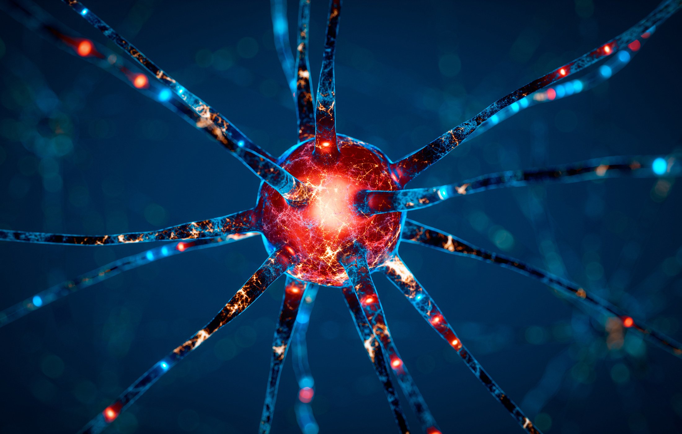 AI Alignment Problem